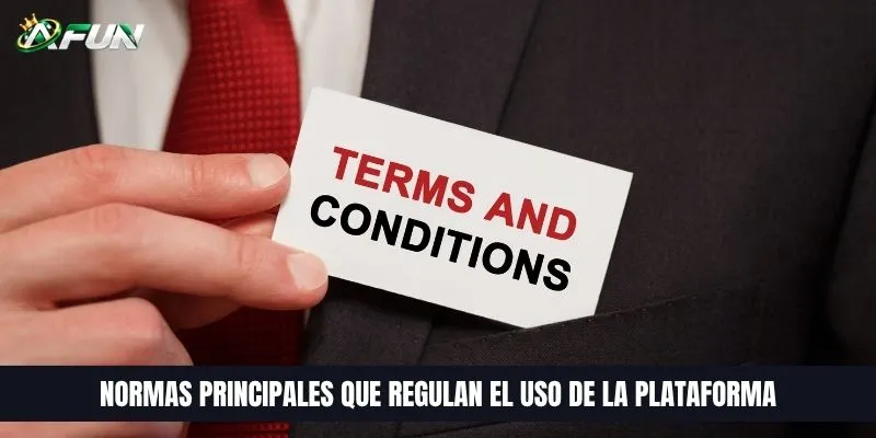 Normas principales que regulan el uso de la plataforma